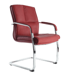 BM 195 silla para visitante, con brazos, base de trineo en cromo